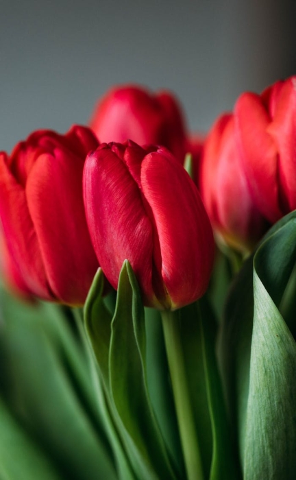 seo����Ҫע��ʲô��